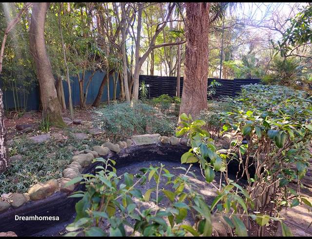 5 BEDROOM PROPERTY TO RENT IN HOUGHTON ESTATE